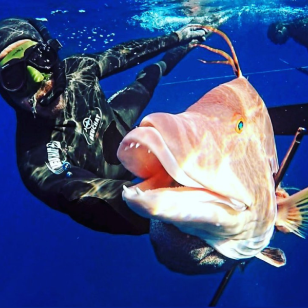 Arpon Spearfishing