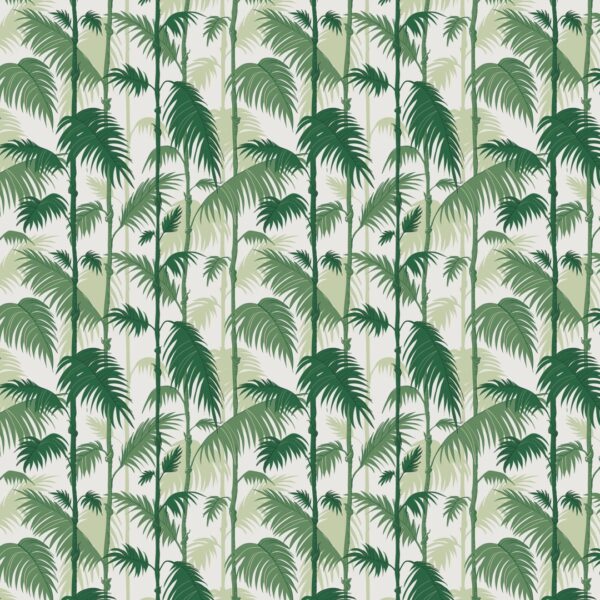 Safari