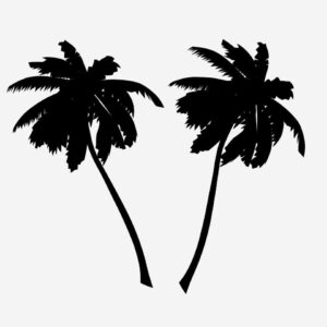 The beach barber shop